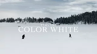parvaaz color white official video 