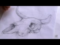 A cow skull drawing