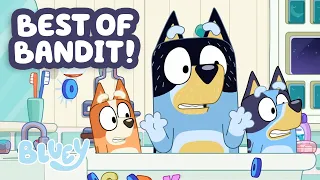 Best of Bandit 30 MINUTES Bluey Compilation with Dad Bluey
