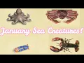 All Sea Creatures You Can Catch In JANUARY In Animal Crossing New Horizons The Northern Hemisphere