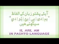 Lesson 42 - Pashto verb is are am Verb and its kinds with examples in Pashto