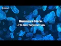 Download Lagu Humnava mere - Lirik dan Terjemahan Indonesia||Jubin Nautiyal