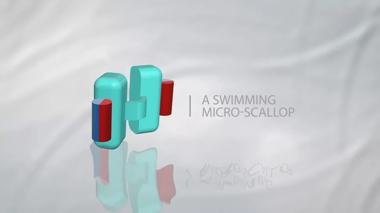A Swimming Micro-Scallop