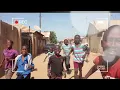 Juls - Palmwine Riddim Visualizer