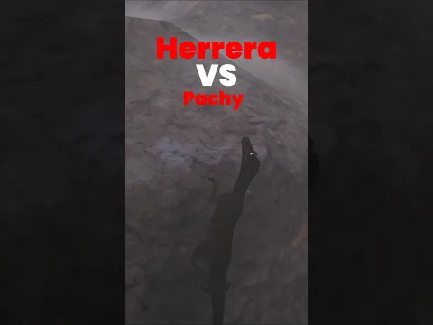 Gravity Is A Razor Sharp Weapon 💥🦴