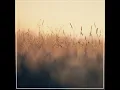 Forgotten Meadow - Pianostalgic