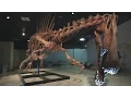 Download Lagu Bigger Than T. rex: Spinosaurus | National Geographic