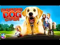 Download Lagu DIAMOND DOG CAPER - FULL MOVIE | Family Adventure Dog Movie