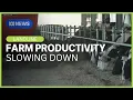 Download Lagu Farm Productivity: On the decline I Landline I ABC News