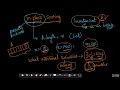 Insertion sort In-place sorting - Algorithms GATE CS