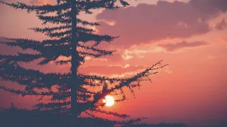 وك ن راضيا     المنشد معن برغوث دندنها
