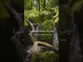 Download Lagu Surah Al Masad (111:1-5) BEAUTIFUL😍 QURAN RECITATION