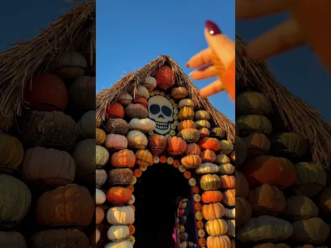 π€ ASMR at the pumpkin patch | Instant tingles #asmr #fall #relax #pumpkinpatch #halloween #sleep