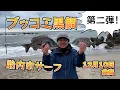 Lagu 12 10 ブッコミ黒鯛第二弾！
