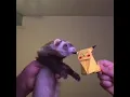 Download Lagu Ferret dancing for 10 HOURS