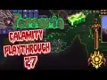 Terraria Calamity Expert Mode Ep 27 ASGARD S VALOR DUNGEON FARMING