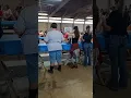 Porter County Fair 4-H Poultry Show