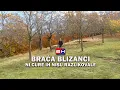 Download Lagu Braća blizanci - ni cure nas nisu razlikovale?! || ZAPISI PORED PUTA