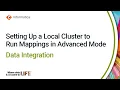 Setting Up a Local Cluster to Run Mappings in Advanced Mode in Data Integration