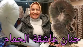 بث مباشر مع حنان عاشقة الحمام 