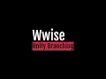 Wwise Unity Music Branching Integration