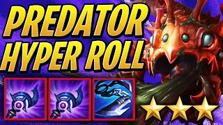 Hyper Rolling PREDATORS with Scarra! - 3 STAR KOG'MAW! | TFT | Teamfight Tactics Set 2 | LoL