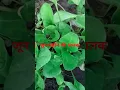 Download Lagu अभी तुम्हारे संघर्ष का समय है #motivational