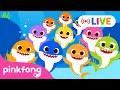 🔴 🏆 TOP Baby Shark Dance Songs | #mostviewed on YouTube | Doo Doo Doo | @Pinkfong LIVE
