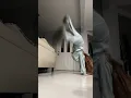 Download Lagu Tiktok hot pajama girl ❤️/Tiktok hot trend 🍑#tiktok #shortsfeed #viral