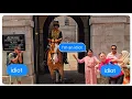 Download Lagu Chaos als onbeschofte toeristen de doos NEGEREN en zelfs het paard aanraken!