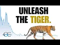 Riding the Asian TIGR - Huge Opportunity in Chinese Stocks