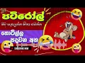 Lagu Pati Roll | පටිරෝල් | තොටිල්ල පදවන අත