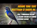 Lagu NYESEL BARU TAU SEKARANG!! MASTERAN SUARA KOLIBRI KELAPA MANGGAR GACOR FULL ISIAN TEMBAKAN NGECRET
