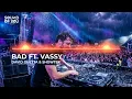 BAD FT. VASSY - DAVID GUETTA & SHOWTEK REMIX