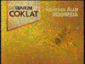 RCTI Djarum Coklat 23 13