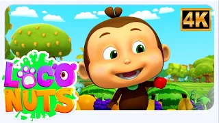 Charlie and the Fruit Factory, Loco Nuts Cartoon and Funny Videos for Kids