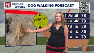 Dog walking forecast Yellow paw day for on-and-off rain showers Good Day on WTOL 11