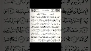 سورة القيامة علاء عقل 