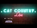 Morgan Evans - Kiss Somebody (live)