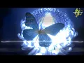 謝霆鋒 - 玉蝴蝶 FLAC [同步歌詞] / Nicholas Tse - Jade Butterfly (w/ lyrics) #謝霆鋒  #nicholastse #cantopop #粵語歌