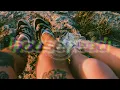 BURNS - Stars (ft. Steve Winwood)