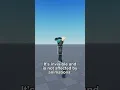 Roblox avatars have a secret body part