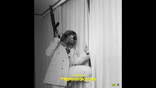 terminator by asake let get into the lyrics 