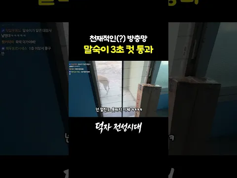 리트리버가 천재견인 이유