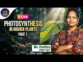 Master Photosynthesis in Higher Plants High-Scoring NEET Topic LIVE