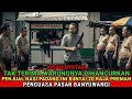 Lagu KISAH NYATA❗️ PENJUAL NASI PADANG INI NEKAT HABISI 20 RAJA PREMAN PASAR BANYUWANGI SENDIRIAN
