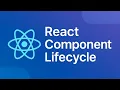 React Component Lifecycle Tutorials beginners learning technologies frontend Code - Sphere