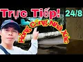 Download Lagu 🔴 Trực Tiếp! Hóng Cổng Nhà X.ác Đằng Sau Cánh Gà...#thayminhtue #suminhtue #minhtue #nguyendongthap
