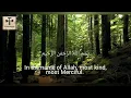 Download Lagu Surah Al Hijr | Ayah 1-5 | Mishary Rashid Alafasy