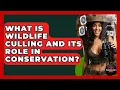 What Is Wildlife Culling And Its Role In Conservation - The Marksman s Journal